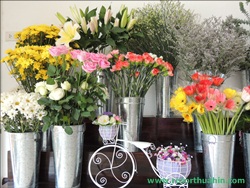 ҹѴ͡Թ Shanel LK Flower Hua Hin Thailand